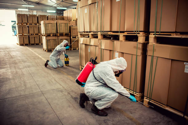 Pest Prevention Services in Little Round Lake, WI