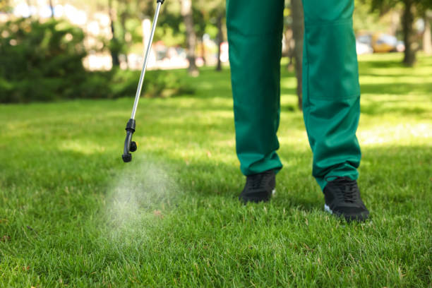 Best Local Pest Control Services  in Little Round Lake, WI