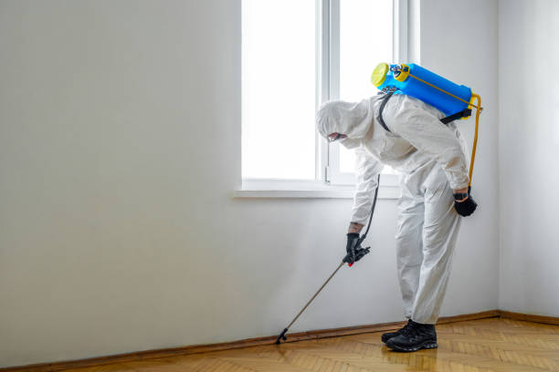 Trusted Little Round Lake, WI Pest Control Experts