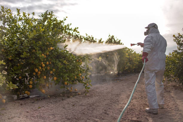Best Pest Control Near Me in Little Round Lake, WI