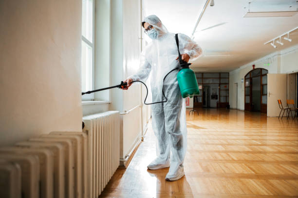 Best Flea Control Services  in Little Round Lake, WI